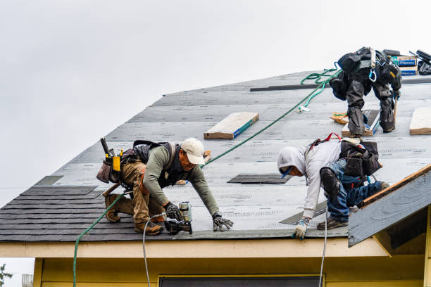 Professional Roofing technician working in Lexington, IL